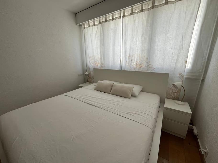 85M2 Au Centre-Ville A 2 Pas Du Jet D'Eau Geneva Ngoại thất bức ảnh